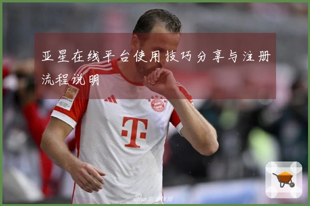 亚星在线平台使用技巧分享与注册流程说明