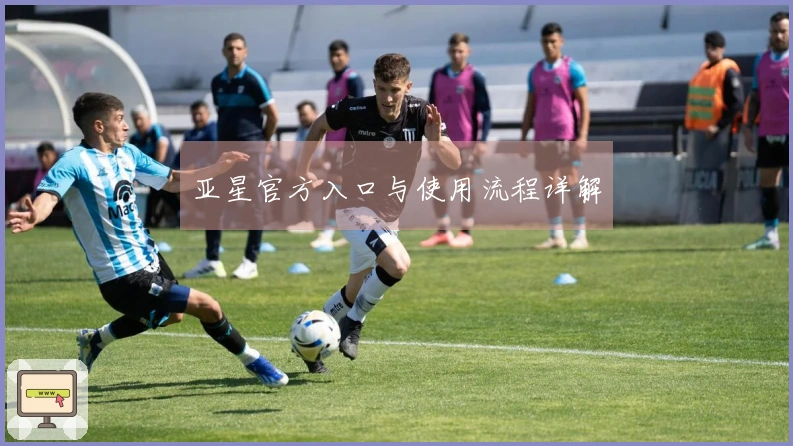 亚星官方入口与使用流程详解