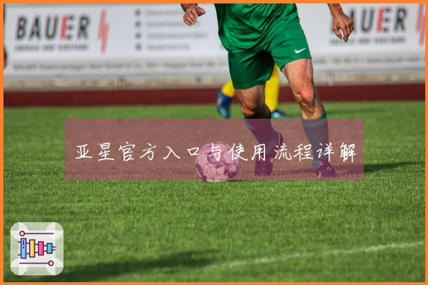 亚星官方入口与使用流程详解